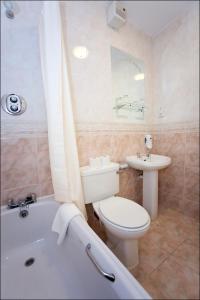 Ett badrum på Woodford Dolmen Hotel Carlow