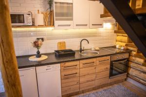 a kitchen with a sink and a counter top at Brvnara Vasić - Stara planina in Pirot