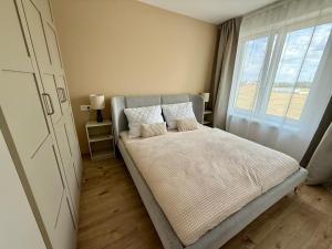 a bedroom with a bed with two pillows and a window at Anna Apartment in Dunajská Streda +5 photos