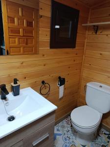 a bathroom with a toilet and a sink at La cabaña de Magui in Riópar +21 photos