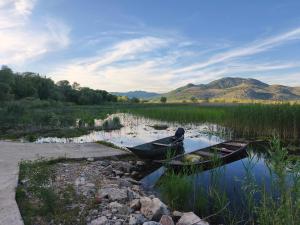 a boat is sitting in a marshy lake at Holiday home Haustor with Skadar lake view in Cetinje