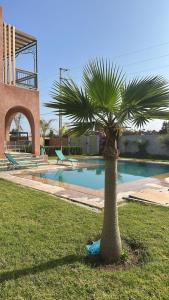 a palm tree in the grass next to a swimming pool at VILLA Les 3 Palmiers in Amezrou