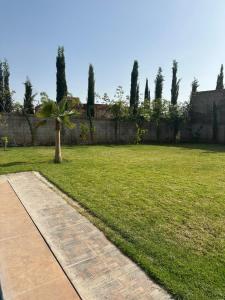 a grassy yard with a palm tree and a sidewalk at VILLA Les 3 Palmiers in Amezrou +38 photos