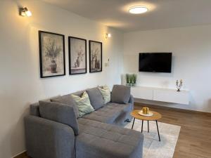 a living room with a couch and a flat screen tv at Studio Apartman Nika in Višnjan