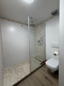 a bathroom with a shower and a toilet at Apartment Hornberg-Melisa in Hornberg