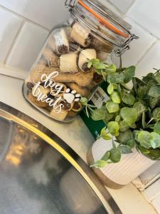 a mason jar filled with plants on a counter at The Hidden Gem in Mablethorpe