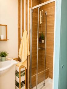 a shower with a glass door in a bathroom at Appartement bleu in Eymoutiers +13 photos