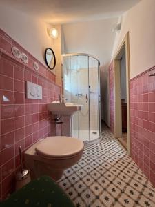 a bathroom with a shower and a toilet and a sink at Chalupa na Brdech in Obecnice