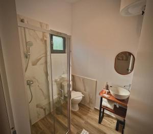 a bathroom with a shower and a toilet and a sink at Salt Cabins in Ocniţa