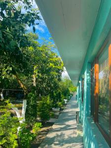 a hallway of a blue building with trees on the side at Guesthouse FLORA ANAKLIA in Anaklia +3 photos