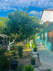 a group of trees in front of a building at Guesthouse FLORA ANAKLIA in Anaklia