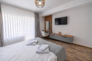 a hotel room with a bed and a television at Pensiunea Seraris in Voineasa
