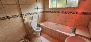 a bathroom with a toilet and a tub and a sink at Applegate lodge in Clarens +8 photos
