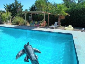 a dolphin in the water in a swimming pool at Appartement saumon 3p in Rognes
