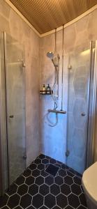 a bathroom with a shower and a toilet at Biskopsdal in Karuna +19 photos