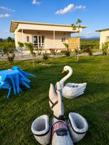 a fake swan in the grass in front of a house at Agroktima Arta - Farm Stay in Arta +50 photos
