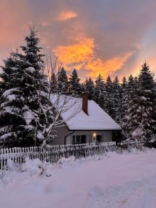 a house in the snow with a fence and a tree at Dom Pod Lasem in Korbielów