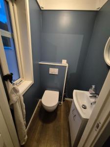 a small bathroom with a toilet and a sink at Cosy house in Ringebu kommune in Ringebu +6 photos