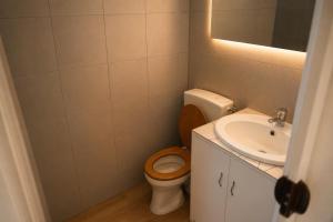 a bathroom with a toilet and a sink at Tiny house met Coldtub 4pers The Firefly in Amblève +13 photos