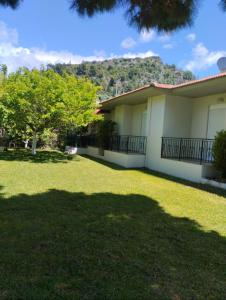 a house with a yard with a hill in the background at Lemi Apartments in Rizá