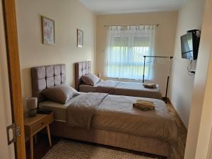 a bedroom with two beds and a tv and a window at Elena Residence 15min from Belgrade in Pančevo +23 photos