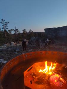 a fire pit with some animals in the background at Biskopsdal in Karuna