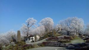 un jardin avec des arbres et des buissons ainsi qu'une maison dans l'établissement Family Hotel Okoř, à Okoř