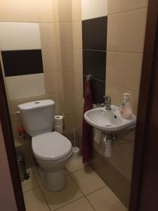 a bathroom with a toilet and a sink at Agroturystyka Kuźnia in Neple +48 photos