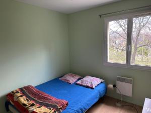 a bedroom with a blue bed and a window at Chambre à louer dans villa ou Location maison entière in Montjoux