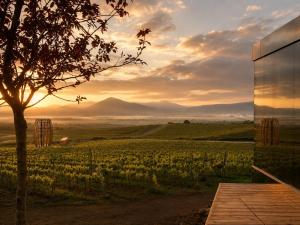 a view of a field with a tree and a building at Glamping Domik Tokaj in Malá Tŕňa +11 photos
