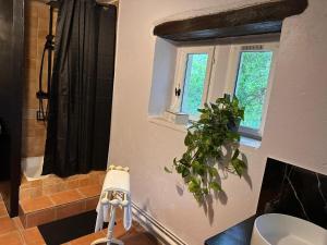 a bathroom with a toilet and a window at La Tuilerie Du Cinéaste in Courlon +73 photos