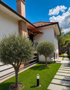 two trees in a yard next to a house at L olive Villa in Zogaji