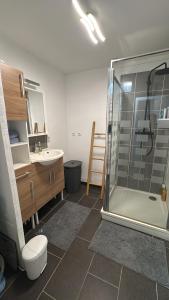 a bathroom with a shower and a toilet and a sink at Superbe Duplex T2 62m2 - Rénové à Neuf ! in Croix