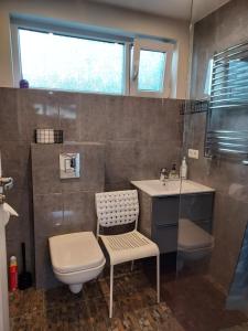 a bathroom with a toilet and a sink at North Street Sandgerði in Sandgerði