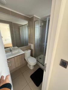 a bathroom with a toilet and a sink and a shower at Departamento Blanco Encalada in Temuco +11 photos
