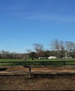 a park with a fence and horses in a field at The Moseley-Smith Plantation SHARED LIVING Queen Bedroom in Aiken