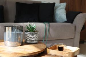 a coffee table with a potted plant on top of a couch at Erdgeschoss Juwel direkt hinter dem Markt I Terrasse & Parkplatz I ruhig & privat in Viersen +52 photos