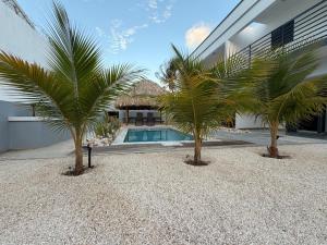 two palm trees in front of a building with a swimming pool at Blanquila Resort in Willemstad