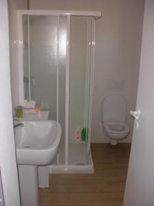 uma casa de banho com um chuveiro, um lavatório e um WC. em B&B Castellani em Fanna