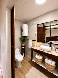 a bathroom with a toilet and a sink and a mirror at Loft y Parking Centro de Melipilla in Melipilla +10 photos