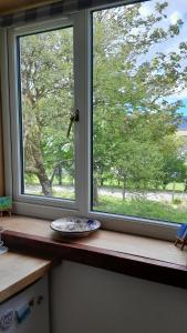 a window in a kitchen with a plate on a counter at Jack's place in Balnakeil