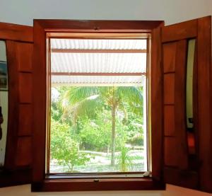a window with a view of a palm tree at Abelha & Peixe Boi in Santo Amaro