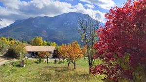 a house in a field with mountains in the background at Teranga in Artigues