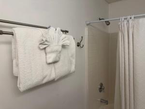 a bathroom with white towels hanging on a towel rack at House 210 Brunswick in Brunswick +25 photos