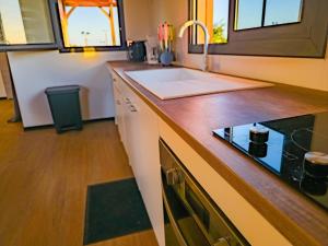 a kitchen with a sink and a counter top at L'écrin d'Amaroa in Fort-de-France +8 photos