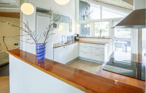 a kitchen with a counter with a vase on it at Holiday Home Kuskevej Jerup X in Jerup