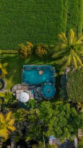 an overhead view of a swimming pool in a yard at The Alugara Suite & Spa in Tegalalang