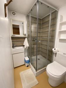 a bathroom with a shower and a toilet and a sink at Refugio Purrunko in Pucón