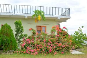 a house with flowers in front of it at New Hotel Bundala park in Tissamaharama