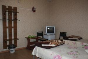 Gallery image of Hotel Economy Classa Edelweiss in Nevinnomyssk